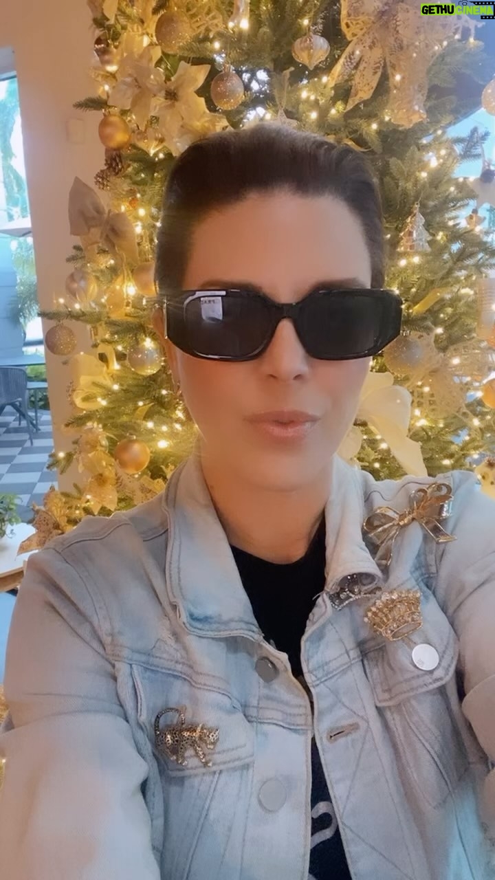 Alicia Machado Instagram - Mi gente feliz fin de semana ! Esto es un clima muy Riquitin en #Miami #holidays #merrychristmas🎄 #familytime #actress🎬 🎁🎈🎉🥰💝🎂