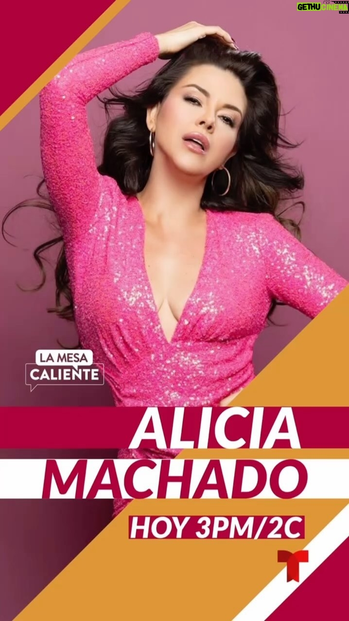 Alicia Machado Instagram - Nos vemos ππ» esta tarde β° en vivo ! Compartiendo lo bueno lo lindo y lo cierto 3 pm 2 pm Centro por @telemundo Invitada Indomable @lamesacaliente #SecretosDeLasIndomables Coming soon π #realityshow por @miracanelatv