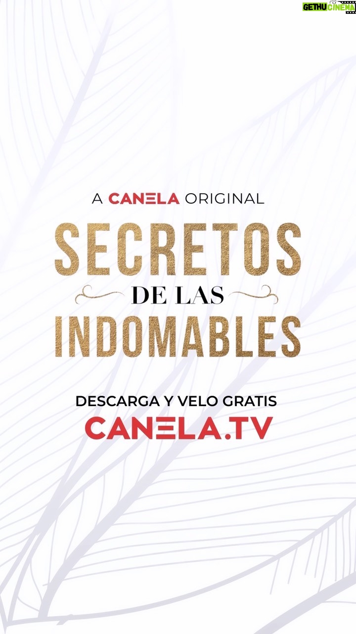 Alicia Machado Instagram - Mis Alilovers ❤️! Las cosas ya están escalando muy rápido con mis Indomables ❤️🔥😱 Es hora de que lo descubran en un nuevo episodio de Secretos de las Indomables ¡ya disponible en Canela.TV! 🔥🔥 Descarguen la app de Canela.TV 🔥 porque esto está que arde 🥵 y se dice que va a ha haber caos en #SecretosDeLasIndomables 😱😰❤️🔥 ¡es gratis! 🔥 @miracanelatv #CanelaTV #SecretosDeLasIndomables #AliciaMachado #AmaraLaNegra #NinelConde #PatriciaManterola #Yuri #ZuleykaRivera #Secretos