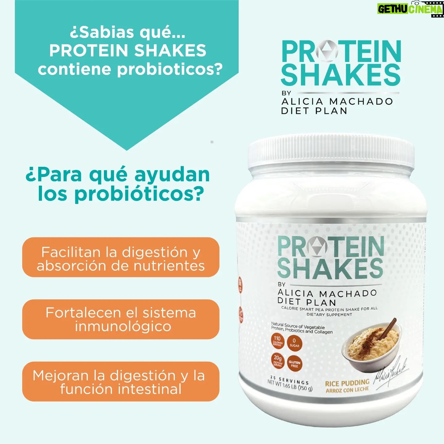 Alicia Machado Instagram - ¿Qué hace tan especial a nuestro Meal Replacement? 🧐 ¡Contiene probióticos! 💚 Un poderoso componente que nutre tu cuerpo y cuida de tu bienestar digestivo. ¡Eleva tu salud a un nuevo nivel! 🌟 #Meal Replacement #Diet #ProteinShakes #AliciaMachado #Proteína #Bienestar #Protein #Fitness #Nutricion #Probioticos #Probiotics