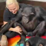 Alicia Silverstone Instagram - How sweet is that!? 🐵🐶