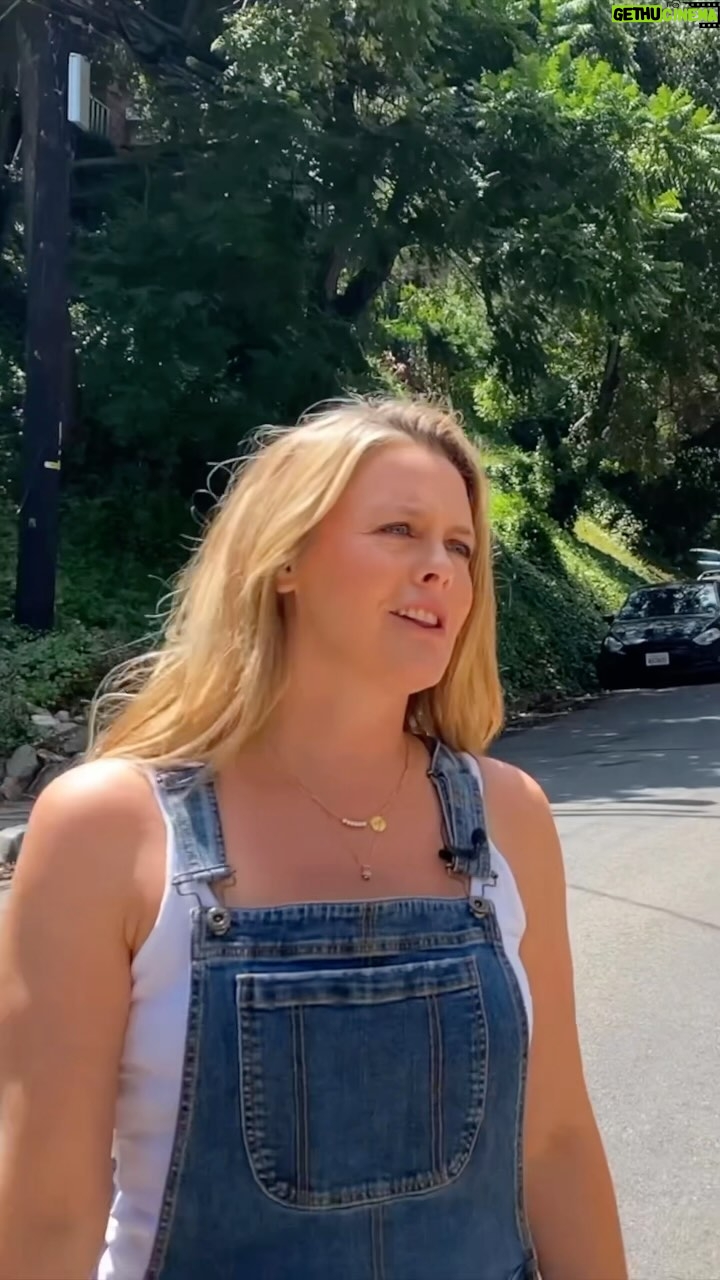 Alicia Silverstone Instagram - Compost vs Bees... part two! 🐝 Here is part two of bees as promised. Ok, we’ve established a plan of how to safely relocate the bees... it’s time to get to work. 💪🏻 🔨We (furry friends included!) hammer down on this DIY project and get one step closer to our goal. 🤦♀️🤪 Stay tuned for part three coming next week..