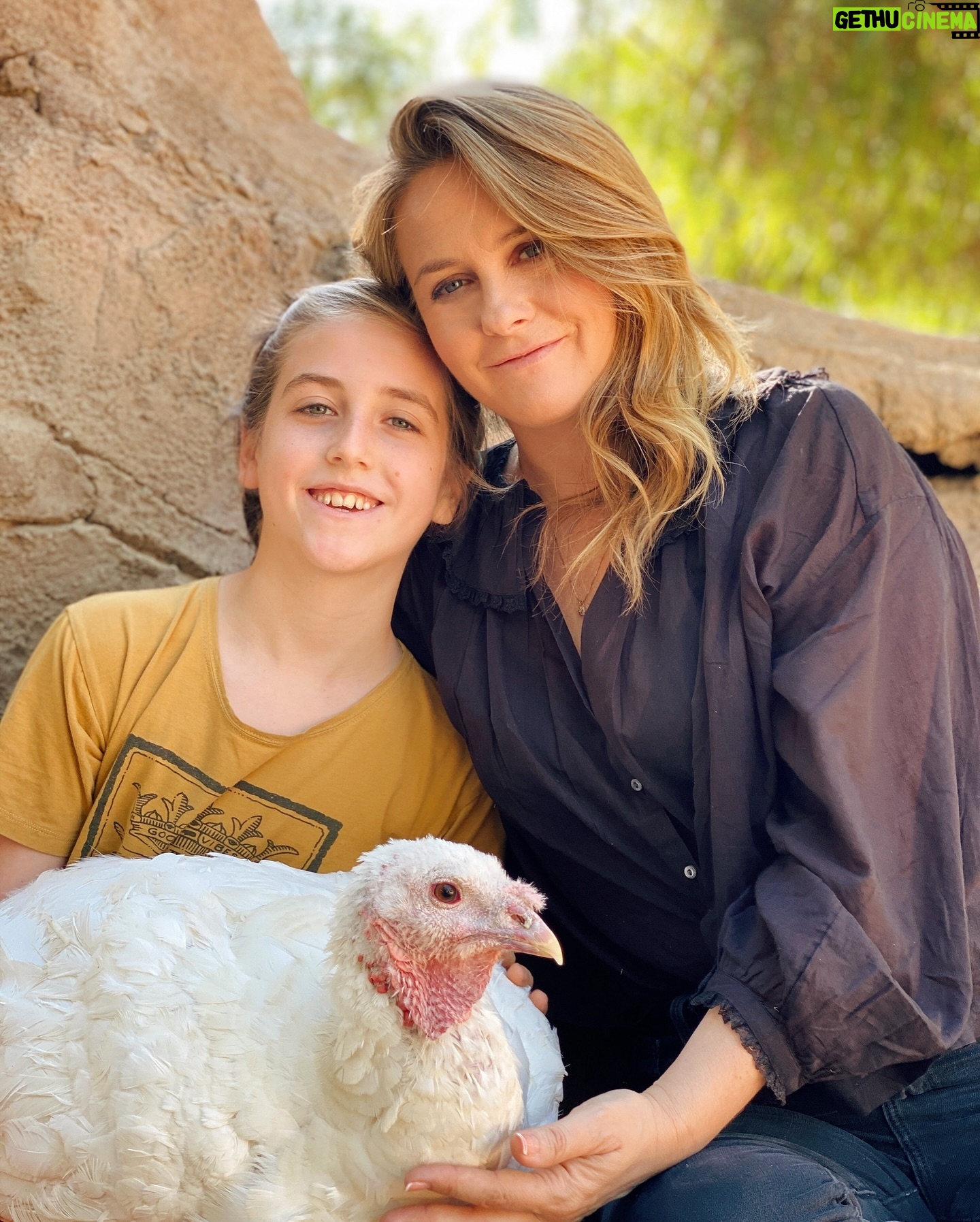 Alicia Silverstone Instagram - Happy Thanksgiving to those who are celebrating this year! 🦃🧡