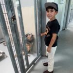 Alicia Silverstone Instagram - Adopt, don’t stop! This sweet beautiful boy’s heart! And the tenderness between him and these loving soulful innocent creatures. 🐶🤎 #AdoptDontShop