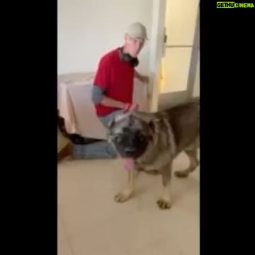 Alicia Silverstone Instagram - 😩😥Lots of shelters in California do not have the proper conditions to take care of the sweet animals! They can be below freezing, or in this case, so hot they can die. This poor dog was about to be rescued, but he was being kept in a room that was 118 degrees and died of overheating. 💔 I donated units to shelters in need and I am hoping you might want to help too. Any amount is greatly needed and appreciated. Please share or tag someone in the comments below who might be inclined to help. You can donate directly to @debfeldbloom.