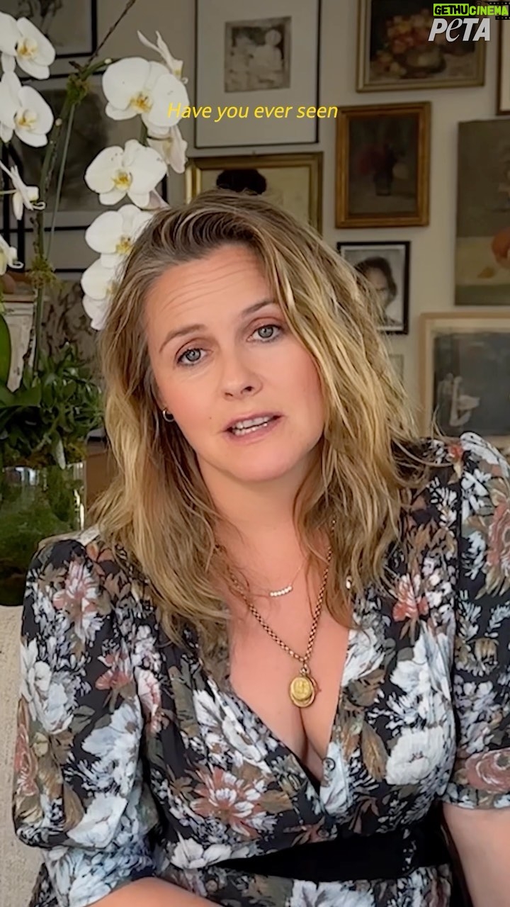 Alicia Silverstone Instagram - A heartbreaking reality... 💔 Watch my conversation with @peta on why it is so important to stop breeding and buying, breathing-impaired dogs. Please always adopt! #AdoptDontShop