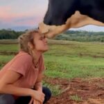 Alicia Silverstone Instagram – 🐮❤️🥹