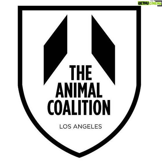 Alicia Silverstone Instagram - 😩😥Lots of shelters in California do not have the proper conditions to take care of the sweet animals! They can be below freezing, or in this case, so hot they can die. This poor dog was about to be rescued, but he was being kept in a room that was 118 degrees and died of overheating. 💔 I donated units to shelters in need and I am hoping you might want to help too. Any amount is greatly needed and appreciated. Please share or tag someone in the comments below who might be inclined to help. You can donate directly to @debfeldbloom.