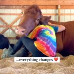 Alicia Silverstone Instagram - 🐮❤️🥰 🎥: @thegentlebarn
