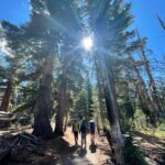 Alicia Silverstone Instagram - We ❤️ our National Parks! Since it’s National Park Week, I came across these photos from a trip we took in 2022 when Bear and I visited Yosemite National Park. Now I’m dreaming of our next national park adventure! Which park should we explore next? Join me in celebrating #NationalParkWeek and see how you can help protect these beautiful places at https://bit.ly/3VQCsky. @nationalparkfoundation
