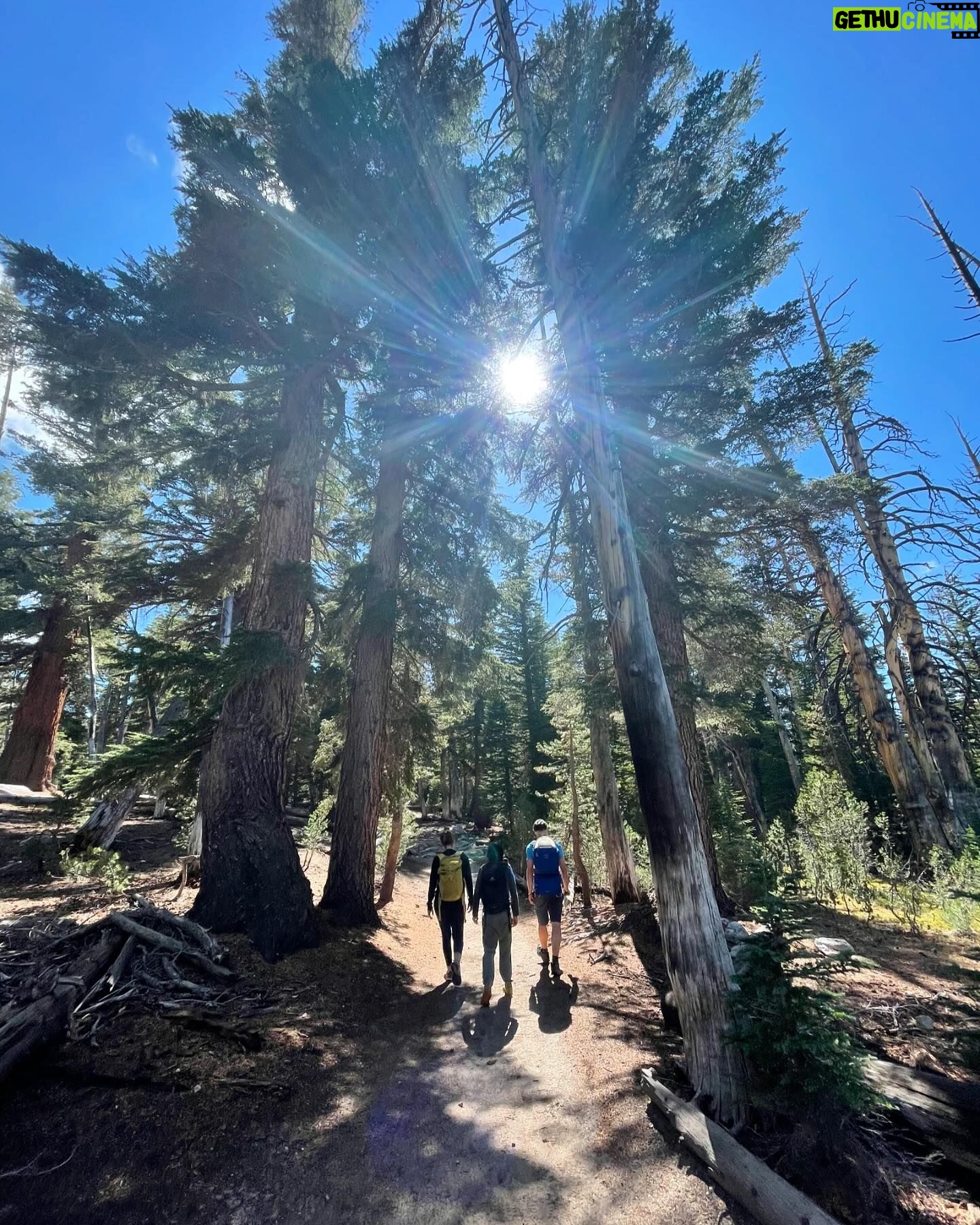 Alicia Silverstone Instagram - We ❤️ our National Parks! Since it’s National Park Week, I came across these photos from a trip we took in 2022 when Bear and I visited Yosemite National Park. Now I’m dreaming of our next national park adventure! Which park should we explore next? Join me in celebrating #NationalParkWeek and see how you can help protect these beautiful places at https://bit.ly/3VQCsky. @nationalparkfoundation