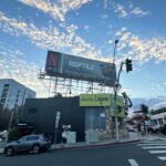 Alicia Silverstone Instagram - From a few months back... #Reptile on Sunset Blvd! @netflix