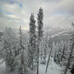 Alisha Wainwright Instagram – Four wheel drive type of day
