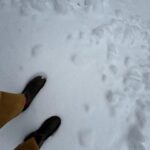 Alisha Wainwright Instagram – Four wheel drive type of day