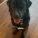 Alisha Wainwright Instagram – 11 months old this week. Moose is getting thiccc