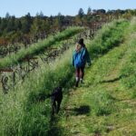 Alisha Wainwright Instagram – Vineyard puppy