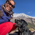 Alisha Wainwright Instagram – Weeklong road trip with my doggy: Mt. Shasta, Crater Lake, Smith Rock Oregon State Park, and in the last one you can see Mt Hood in the distance. Feeling pretty good 😌