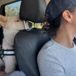 Alisha Wainwright Instagram – Dog fur and desert dust