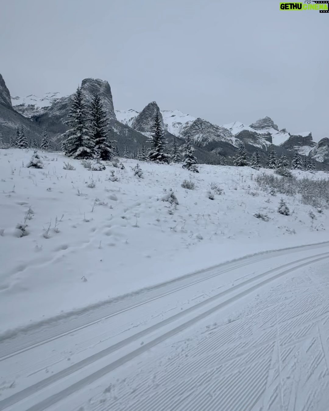 Alisha Wainwright Instagram - Cross country skiing was 🤌🏽🤌🏽