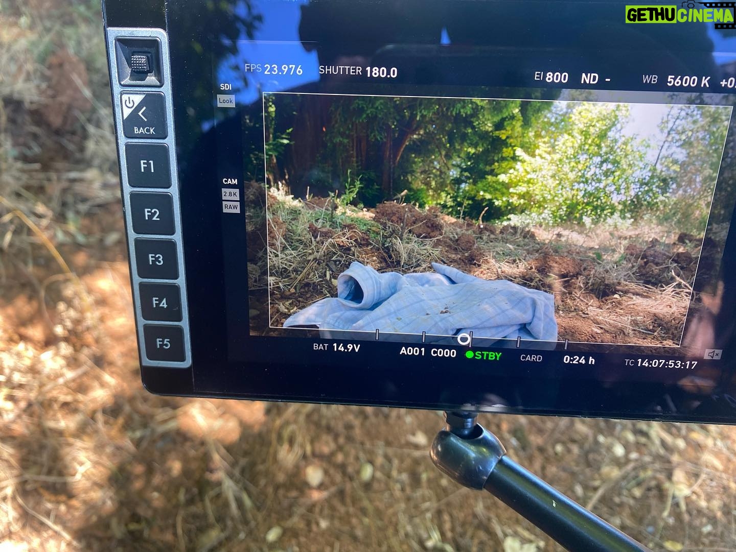 Alisha Wainwright Instagram - Directed my first short! Probably one of the most rewarding experiences I’ve had in a while. Learning so much about the filming process but also that my friends are the best people out there 🩵🩵