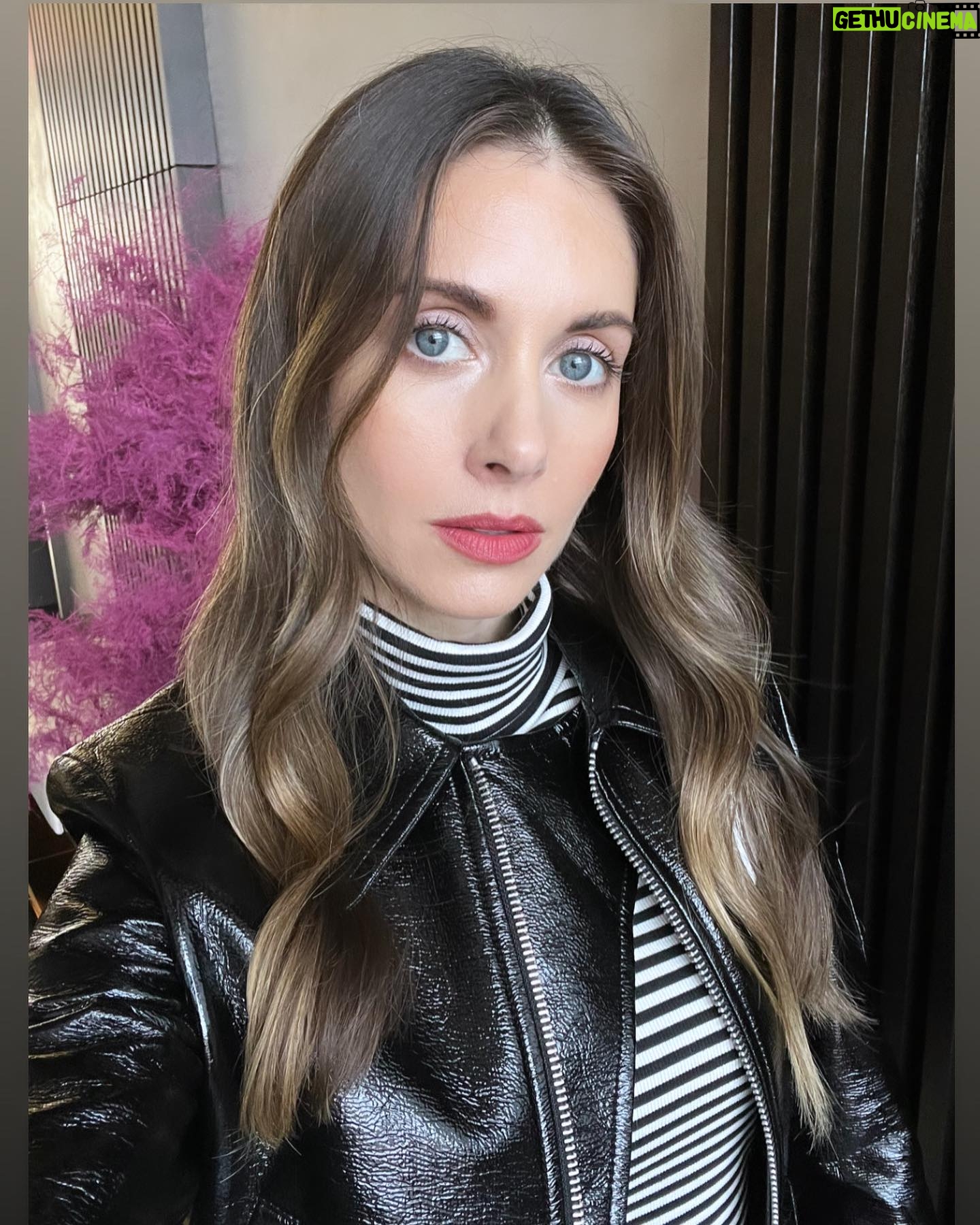 Alison Brie Instagram - 24hr Philly girl 🖤💚 #gobirds #somebodyiusedtoknow