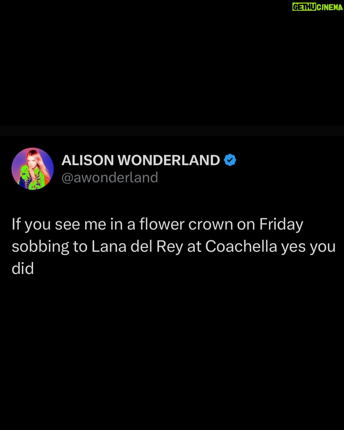 Alison Wonderland Instagram - At coachella in my tumblr flower crown waiting for my queen Lana . Call me LANA DEL RAVE. Hope everyone has a nice night 🍄 #coachella #lanadelrey