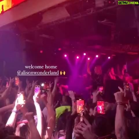 Alison Wonderland Instagram - GREATEST HOMETOWN WELCOME OF ALL TIME??? I am still crying over this. Thank u Sydney ur all a bunch of sick c*nts. I shall be back