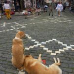Alketa Vejsiu Instagram - @classexplore_ Gjirokastra qyteti gurte, por i zemrave te embla qe kishte nje ajer nderkombetar turistesh qe shijonin nga nje limonate ne rruget ku nderthuren si fijet e qilimave shumengjyresh, kaq shume mistere. O sa e bukur , o eshte Shqipnija e Shqiptareve 🇦🇱 #mybeautifulalbania #albania #visitalbania #comevisitalbania