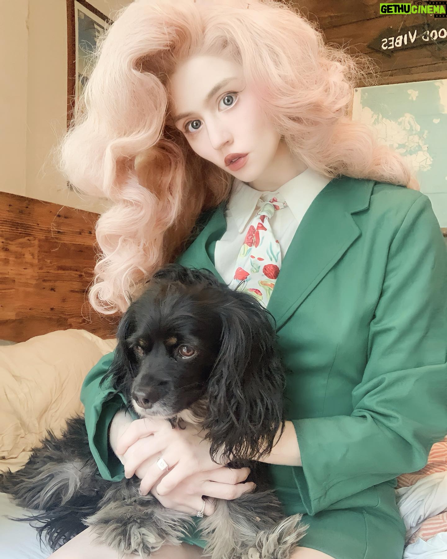 Allison Harvard - 26.9K Likes - my business associate @pennygoodgirl @fashionbrandcompany
