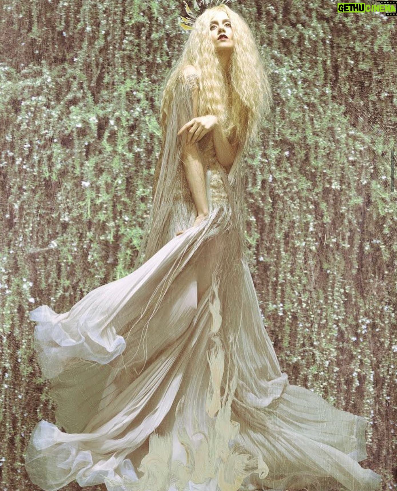 Allison Harvard - 47.7K Likes - One of my favorites with @franzszony | @josephadivari 🥀