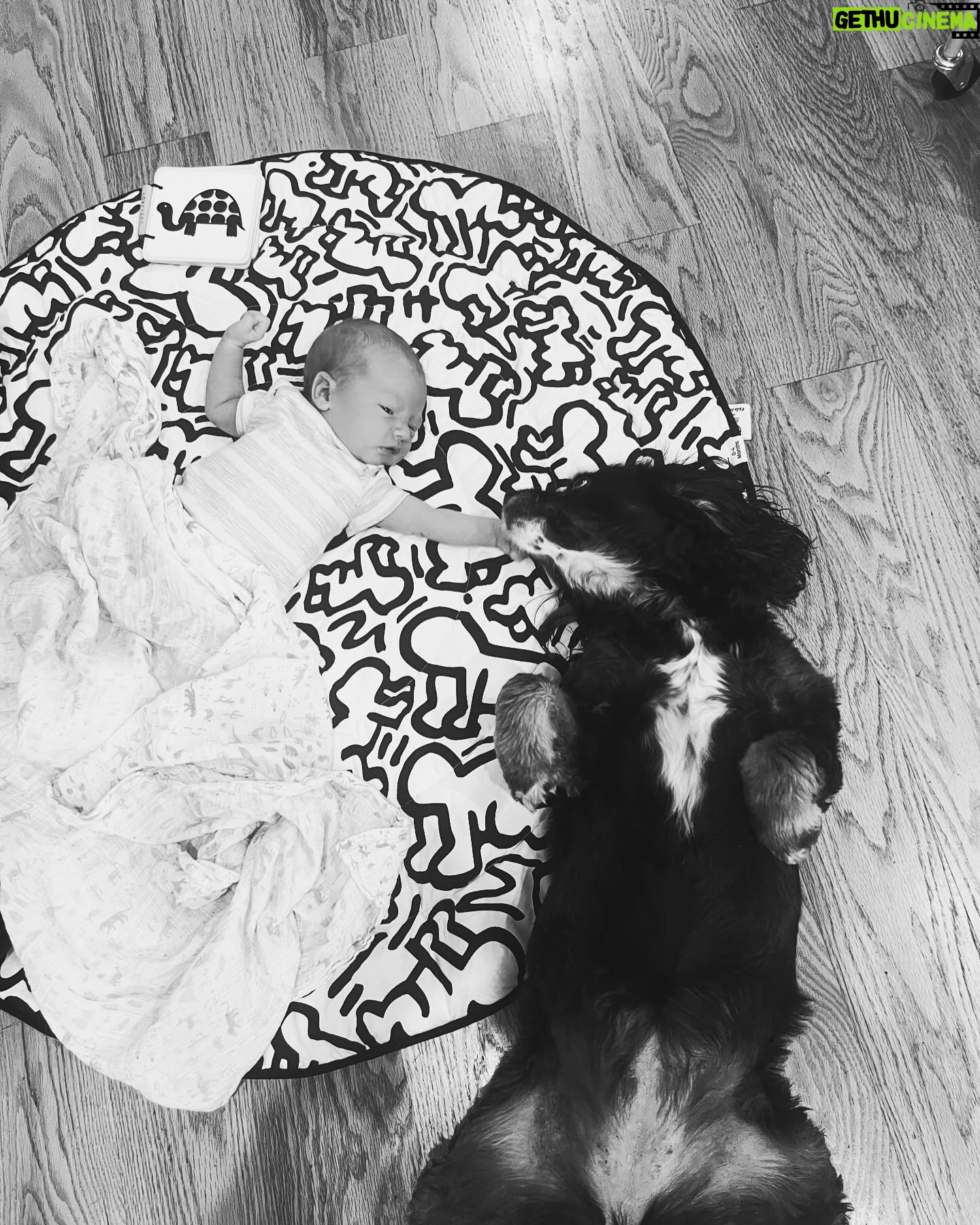 Allison Harvard - 67.9K Likes - Welcome to the world, Henry Harvard Burke. ❤️ We are so in love with this little guy. Our lives totally transformed on 2/23/24. Everything changes the moment you look into their eyes. The immediate love we have felt is indescribable. It has been an unreal experience watching him come to life these past couple weeks. @alliharvard did such an amazing job. Everyone is healthy, happy and filled with so much love. We’ve just been home enjoying our little bubble as a new family. We love you, Henry! And we can’t wait to see what this life brings you, our beautiful son. The world is yours.