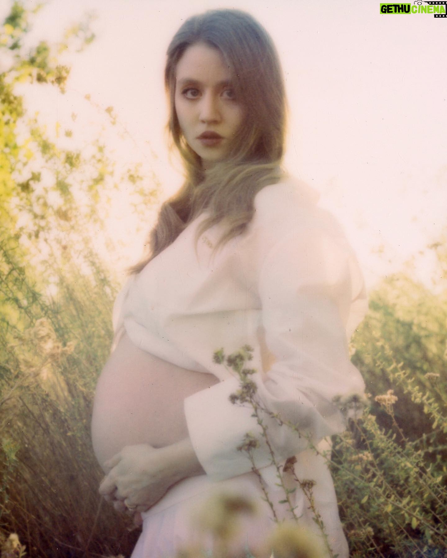 Allison Harvard - 65.5K Likes - We have some exciting news to share… we’re having a baby!! Coming this Feb/March, our little man will be making his Earth debut. We couldn’t be more excited to make a person together and add to our family. We can’t wait to meet him! There’s a lot of love waiting here for you. ❤️