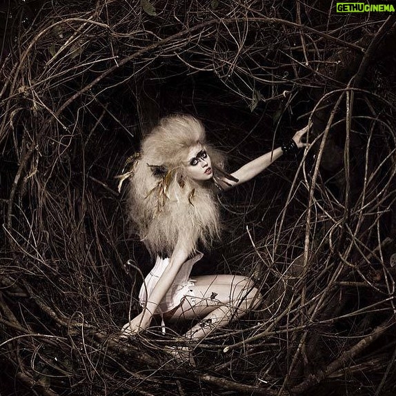 Allison Harvard - 86.2K Likes - Part I | Another lifetime | #ANTM #20thAnniversary