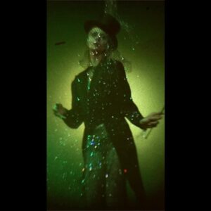 Allison Harvard Instagram - Time Is A Delusion: Sparkle ✨ the first piece of my series with @franzszony