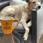 Allison Janney Instagram - Aren’t we all. #affirmations #monday