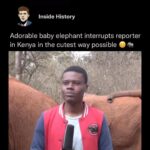 Allison Janney Instagram - 🫶🏽🐘 this! @alvin.kaunda