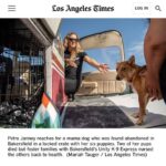 Allison Janney Instagram – My niece @petrafide and her incredible nonprofit @ameliaairrescue are featured in the @latimes today! Head to the link in my story to read this wonderful article that highlights their tireless work to fly shelter pets to new families.
Want to make a difference in the lives of animals? Visit Amelia Air’s website at the link in my bio to donate, volunteer or get involved with their rescue efforts!
To learn more about Amelia Air, tune into LA Times Today on Spectrum News 1 on Thursday, 8/31 at 7pm and 10pm PT!