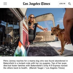 Allison Janney Instagram - My niece @petrafide and her incredible nonprofit @ameliaairrescue are featured in the @latimes today! Head to the link in my story to read this wonderful article that highlights their tireless work to fly shelter pets to new families.

Want to make a difference in the lives of animals? Visit Amelia Air’s website at the link in my bio to donate, volunteer or get involved with their rescue efforts!

To learn more about Amelia Air, tune into LA Times Today on Spectrum News 1 on Thursday, 8/31 at 7pm and 10pm PT!