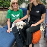 Allison Janney Instagram - This #GivingTuesday, I hope you’ll join me in giving the gift of animal rescue! I am supporting @ameliaairrescue, a nonprofit cofounded by my niece Petra. They fly at-risk pets from overcrowded shelters to rescues who find each one the perfect home! If you go to ameliaair.org/donate (link in bio) you can choose to contribute any amount, sign up as a monthly member, or give donations as a gift! There’s a bunch of new e-cards that you can order to be delivered to your loved ones at any time. From all the pets whose lives will be saved, we are so grateful for your generosity. Enjoy the holiday season! #animalrescue #dogrescue #catrescue #nonprofit