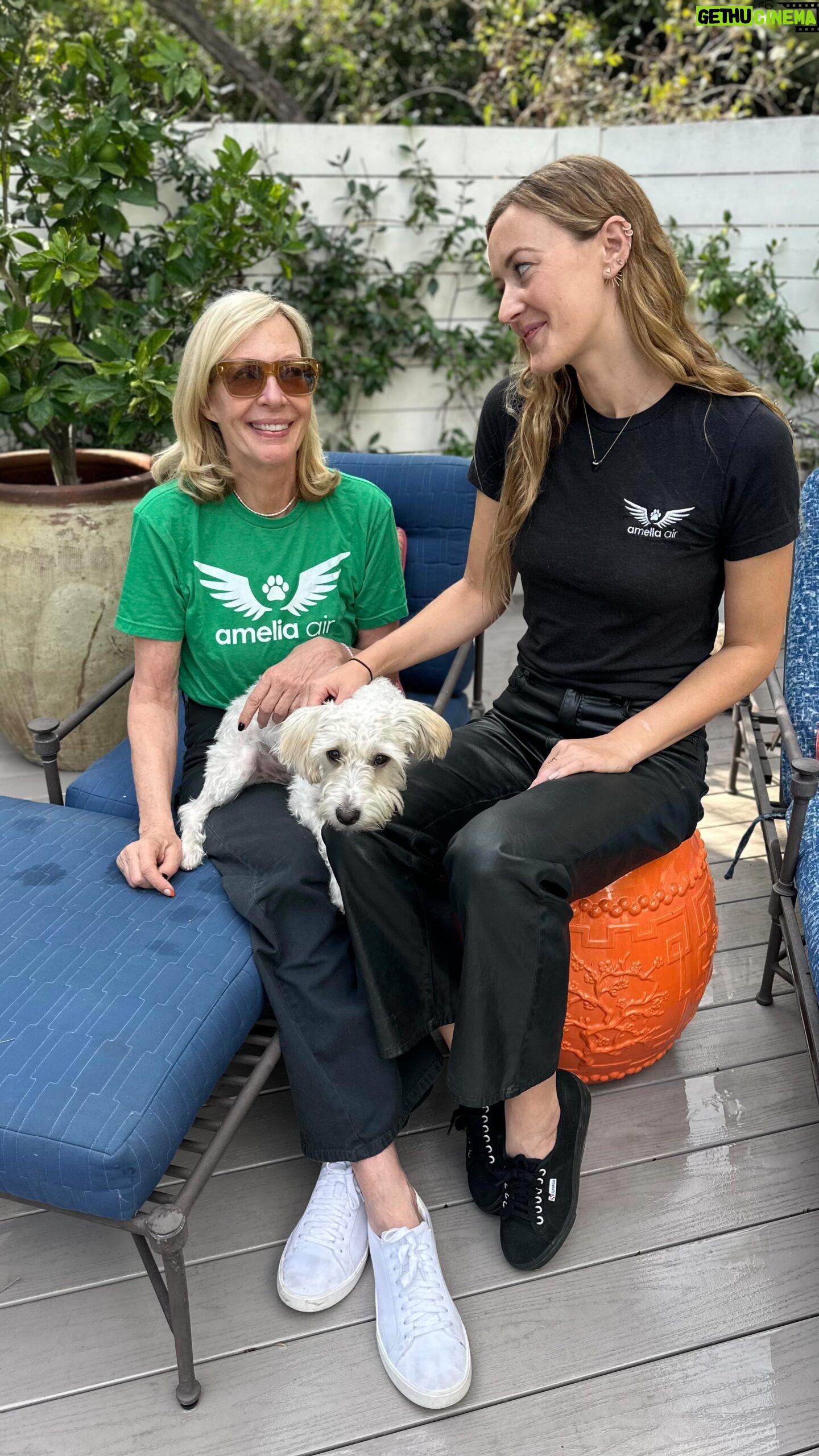 Allison Janney Instagram - This #GivingTuesday, I hope you’ll join me in giving the gift of animal rescue! I am supporting @ameliaairrescue, a nonprofit cofounded by my niece Petra. They fly at-risk pets from overcrowded shelters to rescues who find each one the perfect home! If you go to ameliaair.org/donate (link in bio) you can choose to contribute any amount, sign up as a monthly member, or give donations as a gift! There’s a bunch of new e-cards that you can order to be delivered to your loved ones at any time. From all the pets whose lives will be saved, we are so grateful for your generosity. Enjoy the holiday season! #animalrescue #dogrescue #catrescue #nonprofit