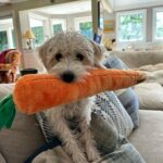 Allison Janney Instagram – Happy #nationaldogday !!!