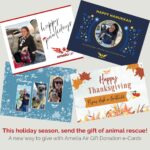Allison Janney Instagram - This holiday season, give the gift of animal rescue! Amelia Air is thrilled to share these new gift donation cards, which you can schedule to send to recipients at any time. They are available at www.ameliaair.org/donate (link in bio) - make sure to check out the new monthly membership tiers too! From the entire Amelia Air Force, thank you for giving us wings so we can rescue pets!✈️