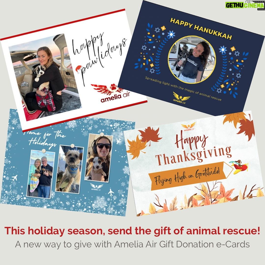 Allison Janney Instagram - This holiday season, give the gift of animal rescue! Amelia Air is thrilled to share these new gift donation cards, which you can schedule to send to recipients at any time. They are available at www.ameliaair.org/donate (link in bio) - make sure to check out the new monthly membership tiers too! From the entire Amelia Air Force, thank you for giving us wings so we can rescue pets!✈️