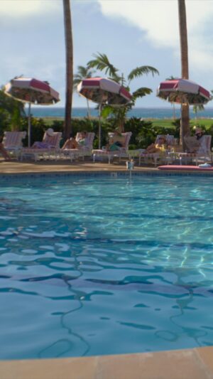 Allison Janney Instagram - You’re formally invited to step inside Palm Beach’s most exclusive club. 

Starring Kristen Wiig, Ricky Martin, Josh Lucas, Leslie Bibb, Amber Chardae Robinson, and Kaia Gerber with Laura Dern and Allison Janney. Plus, special guest stars Carol Burnett & Bruce Dern: Palm Royale premieres March 20.