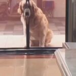 Allison Janney Instagram - Wednesday pick me up 🤗