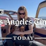 Allison Janney Instagram – Amelia Air’s life-saving rescue work was featured on LA Times Today on Spectrum TV! Dedicated to flying shelter pets to safety, Amelia Air has given freedom flights to 1350 pets since launching in 2019 ✈️🐾

If you want to help shelter animals, adopt your next pet instead of shopping for one! You can also check out Amelia Air’s website at the link in bio to pitch in or join the team 🙌