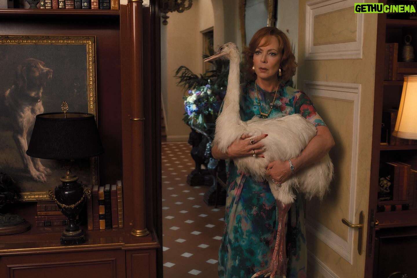 Allison Janney Instagram - A new cast member joins #PalmRoyale this week. He’s big, loves the ocean, and is stranded on the beach. Episode 8 is now streaming on @appletv