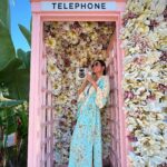 Almeda Abazi Instagram - 🌸