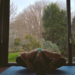 Almila Ada Instagram - Peace 🤍🩰 #stretching w @pointestudyo