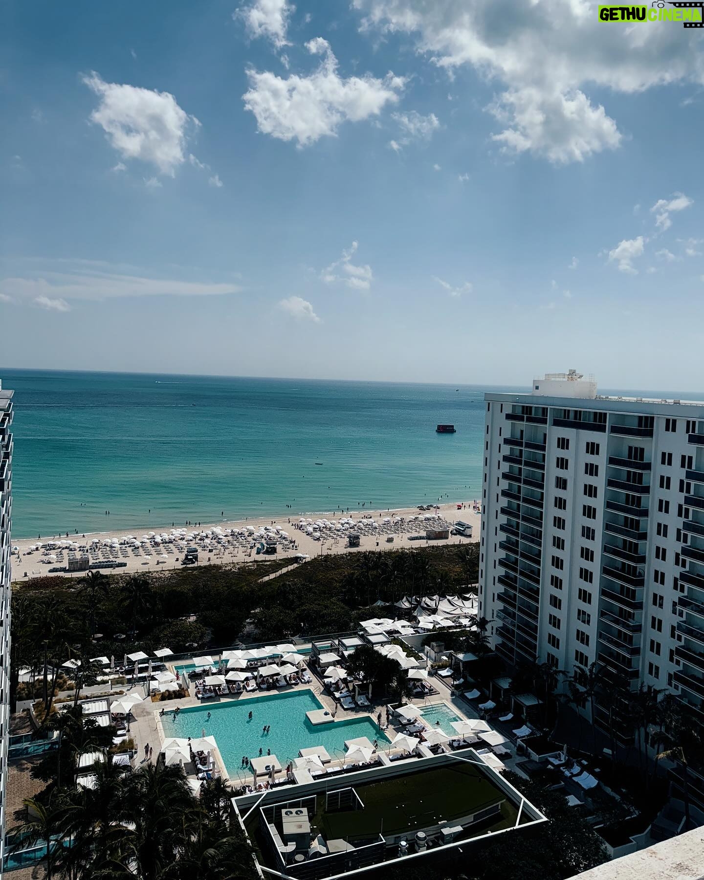 Alyssa Lynch Instagram - this place makes me so friken happy @1hotel.southbeach #1hotelsouthbeach #1hotels